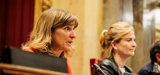 El Parlament fa dues declaracions, de suport als Correllengua i de reconeixement al poble gitano